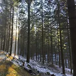Διαμέρισμα Kleine Pfalz Im Casa Del Cornelia Edenkoben