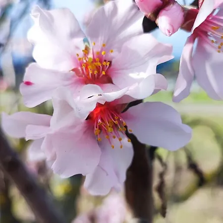 Kleine Pfalz Im Casa Del Cornelia *