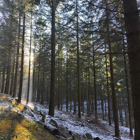 Apartment Kleine Pfalz Im Casa Del Cornelia Edenkoben