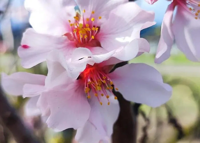 Kleine Pfalz Im Casa Del Cornelia *
