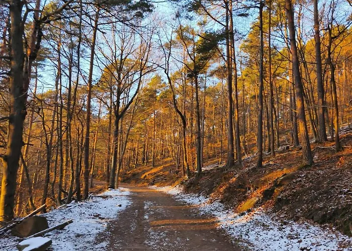 Kleine Pfalz Im Casa Del Cornelia 埃登科本